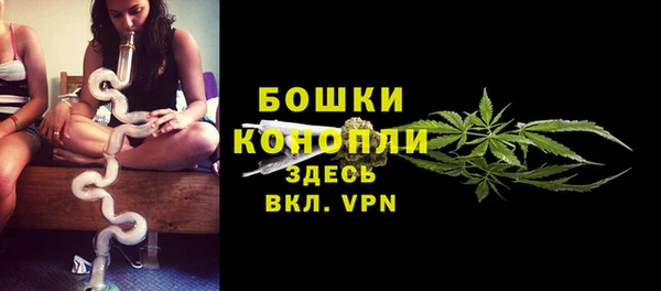 винт Карпинск