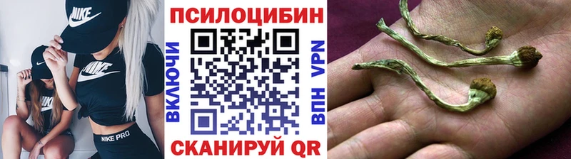 Псилоцибиновые грибы GOLDEN TEACHER  Купить где  Белёв 